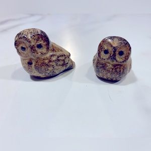 Tiny owls